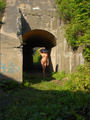 Angelie. Radiance - Picture 1